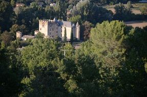 castle behind green trees in germany