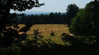 hay bales on a field in france