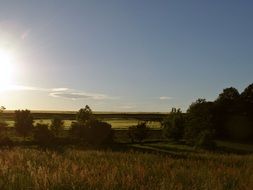 fields at sunset