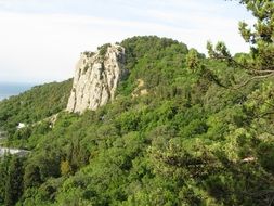 rock in the forest in crimea