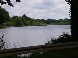 Water in the pond