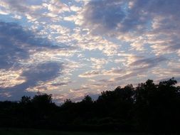 evening sky in the clouds above the forest