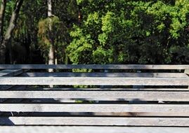 weathered wooden bars at greenery