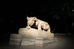lion statue at night