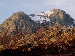 landscape of Sempervivum snowy mountains