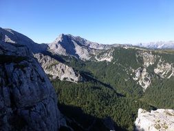 alpine panorama of mountain forest