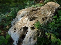 stone on a ground