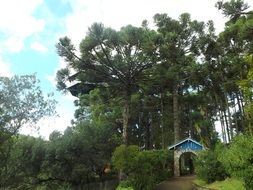 green park in Brazil