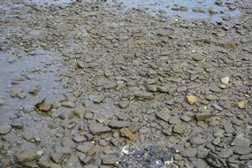 grey stones on seashore