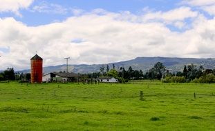 green sunny landscape