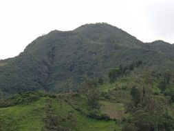 Beautiful view of the green mountains with forest in San Manuel