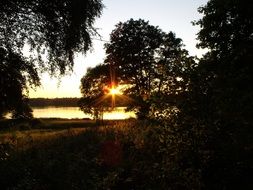 sun's rays of the setting sun in the foliage of trees