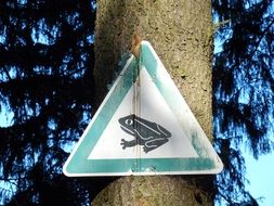 triangular frog migration sign