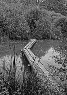 nature water pond