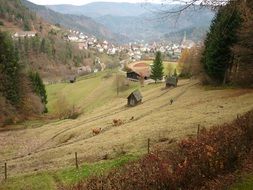 pasture valley panorama
