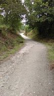 pilgrim path in santiago