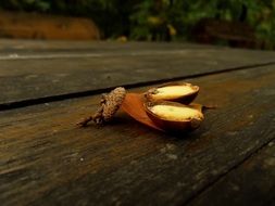 Leaf and a broken acorn on a wooden surface