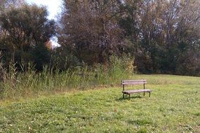 autumn park