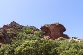 red sandstone and green trees in the canyon