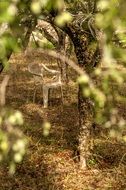 chair garden nature
