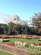 Landscape of Fire in a forest