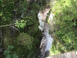 Top view of the thickets in the dolomites in italy
