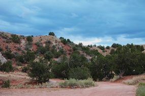 unusually beautiful new mexico