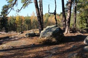 big stone in the forest