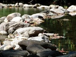 stone path in the river