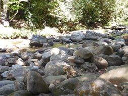 hiking along the river