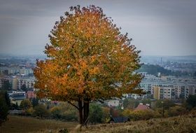 extraordinarily beautiful colorful september