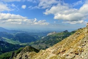 lamb summit in Tatry Slovakia