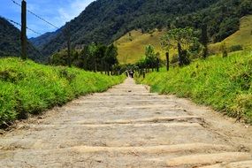 perspective bright green valley green hills view