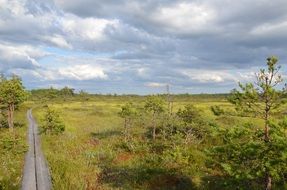 thunderclouds over marshland