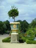 column with a tree in the park