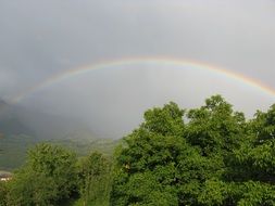 landscape of beautiful rainbow in grey sky above trees