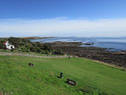 green field near the coast in Scotland