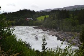 forest waterfall in norway mountains