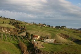 Landscape of rural