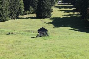 grey wooden cabin on green meadow at forest