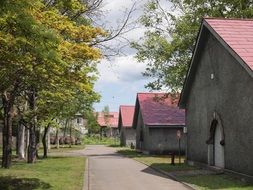 Beautiful Lily Hokkaido Yoichi distillery with plants