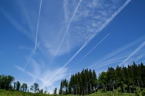 air trails in the sky above the forest