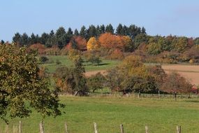 golden autumn in the countryside