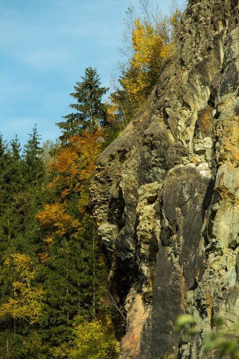 natural rock on the edge of the forest