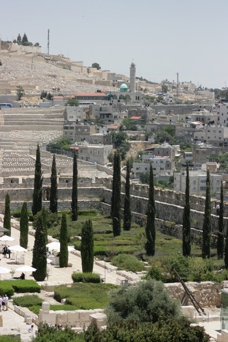 view of the park in jerusalem