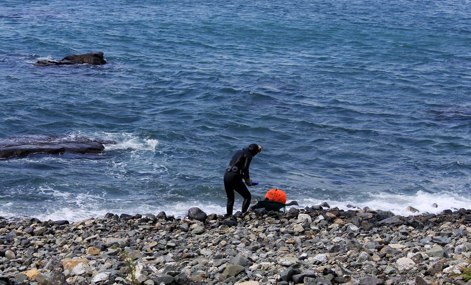 diver at stone beach in korea