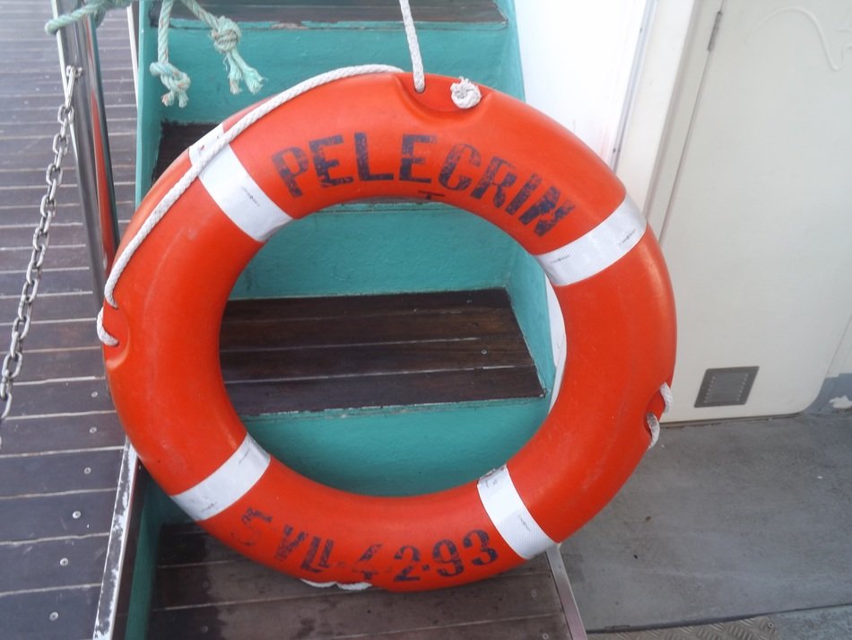 lifebuoy on the ship
