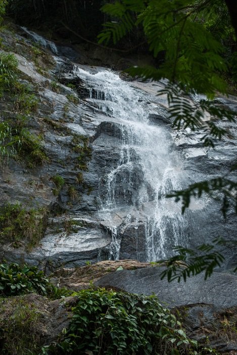 cascade forest in Rio De Janeiro