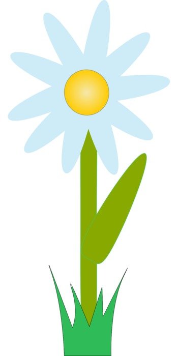 blue plant drawing