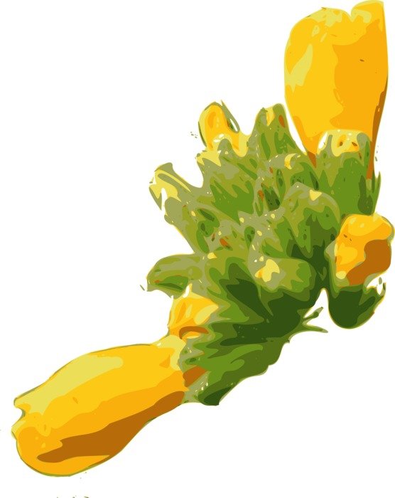 Ä°llustration of Yellow flowers